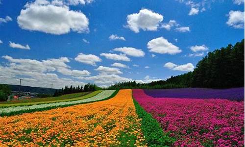 北海道富良野天气预报_北海道天気