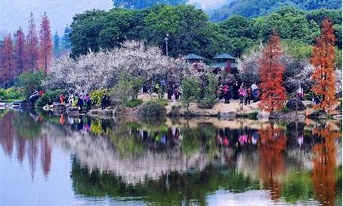 7月广州天气哪里好玩_万疆钢琴简谱歌谱