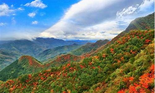 天竺山10天未来天气预报_天竺山好玩儿吗