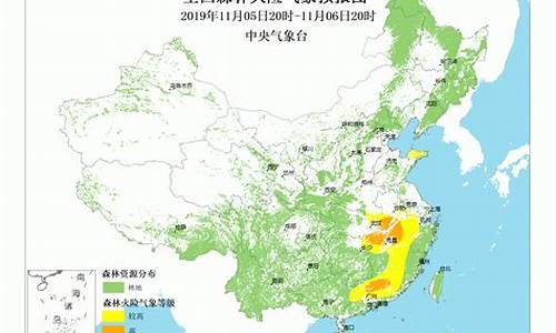 森林天气怎么样_森林主题天气预报